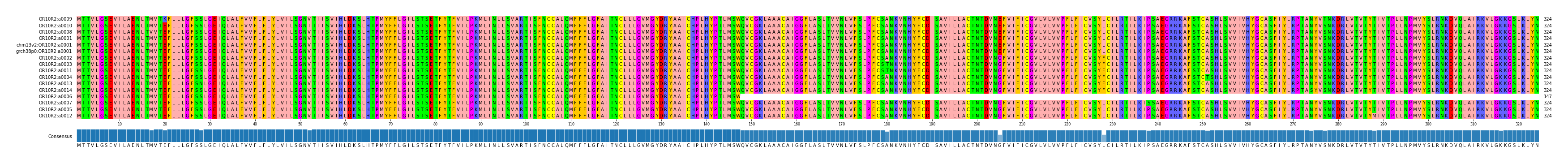 Multiple Alignments (by translate haplotype similarity)