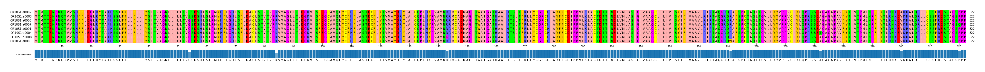Multiple Alignments (by translate haplotype similarity)