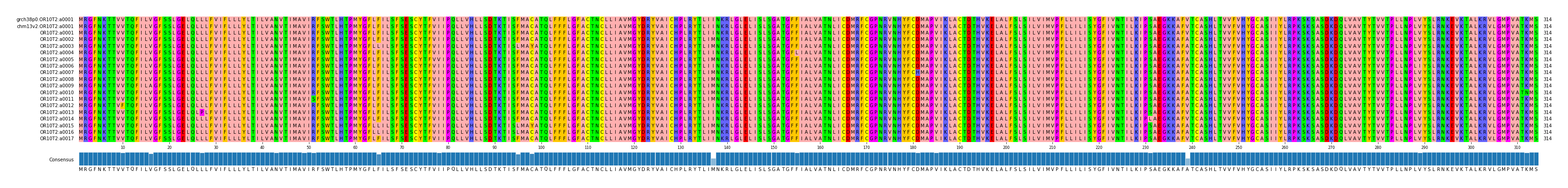 Multiple Alignments (by translate haplotype frequency)