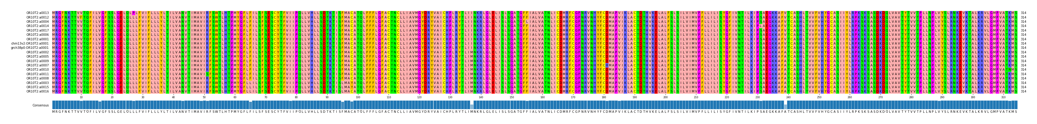 Multiple Alignments (by translate haplotype similarity)