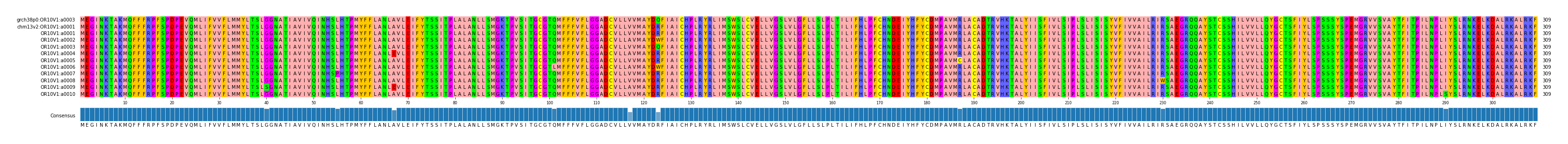 Multiple Alignments (by translate haplotype frequency)