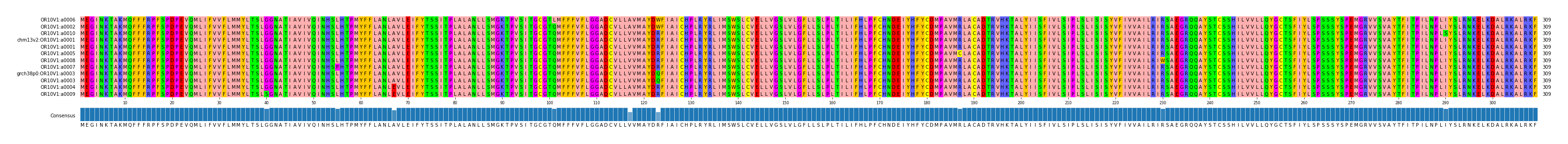 Multiple Alignments (by translate haplotype similarity)