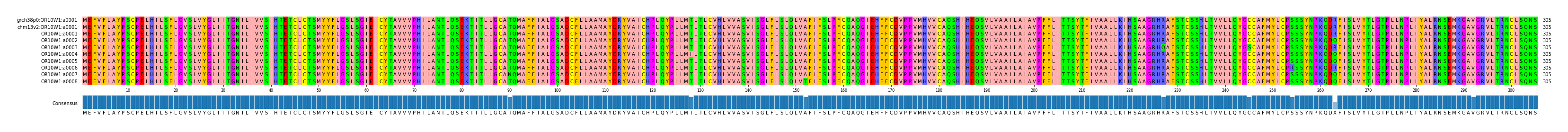 Multiple Alignments (by translate haplotype frequency)