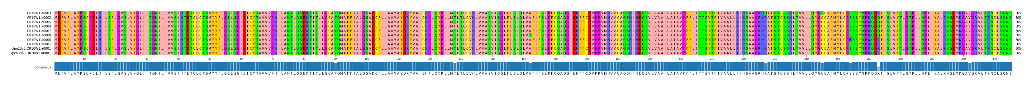 Multiple Alignments (by translate haplotype similarity)