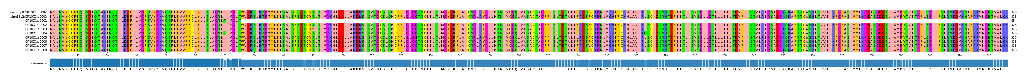 Multiple Alignments (by translate haplotype frequency)