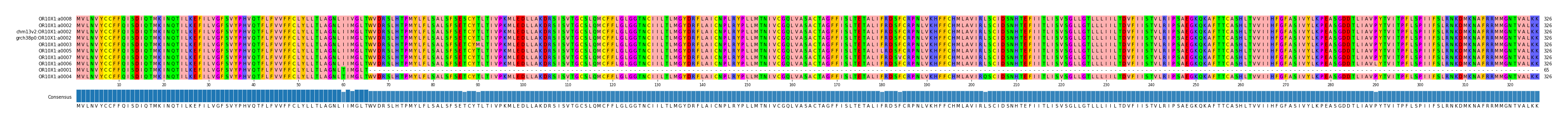Multiple Alignments (by translate haplotype similarity)