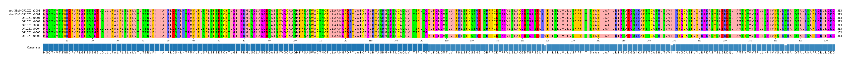 Multiple Alignments (by translate haplotype frequency)