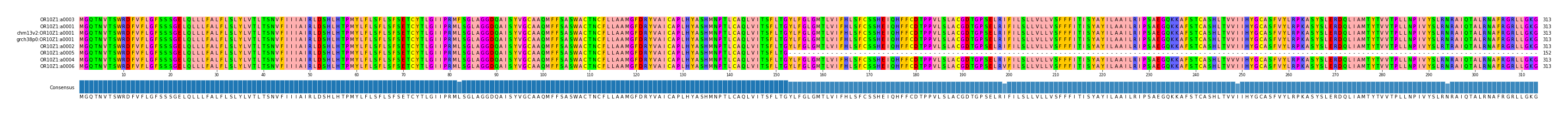 Multiple Alignments (by translate haplotype similarity)