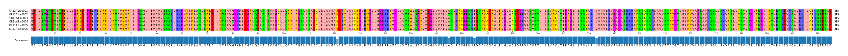 Multiple Alignments (by translate haplotype frequency)