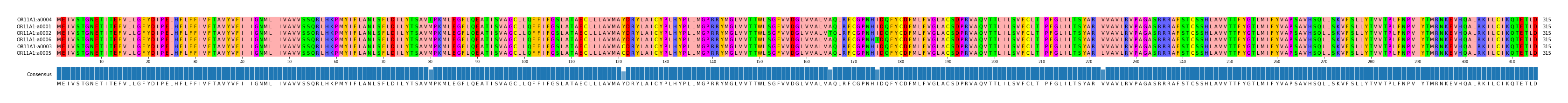 Multiple Alignments (by translate haplotype similarity)