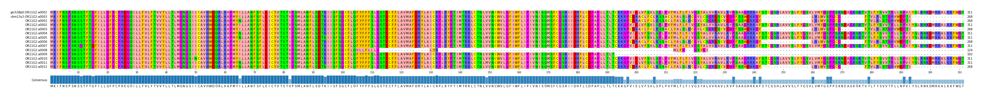 Multiple Alignments (by translate haplotype frequency)