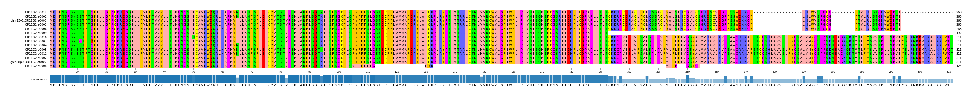 Multiple Alignments (by translate haplotype similarity)