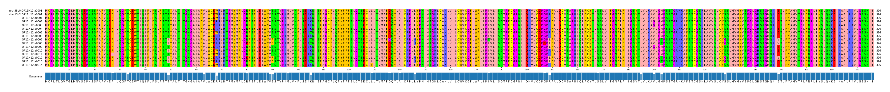 Multiple Alignments (by translate haplotype frequency)