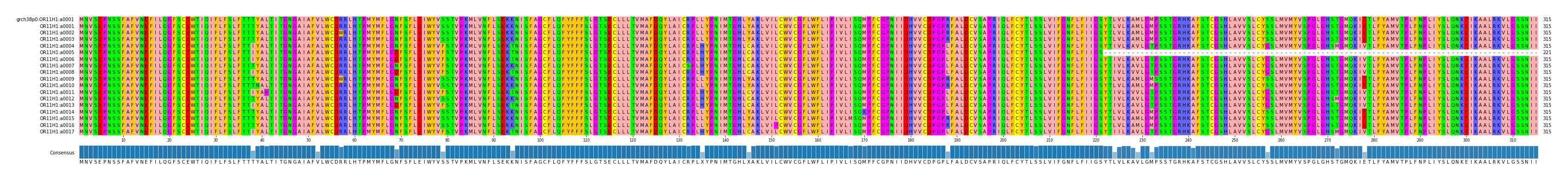 Multiple Alignments (by translate haplotype frequency)