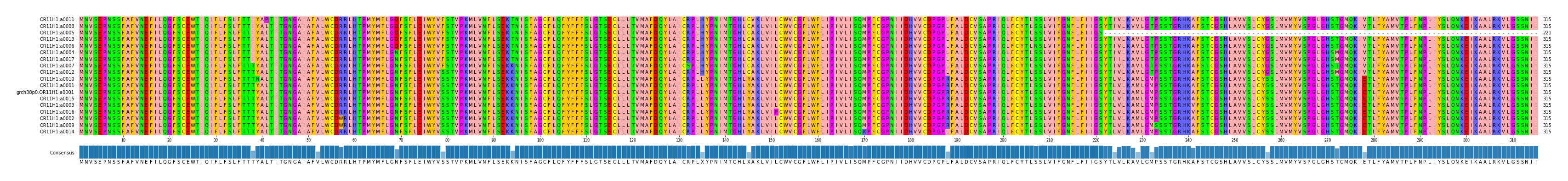 Multiple Alignments (by translate haplotype similarity)