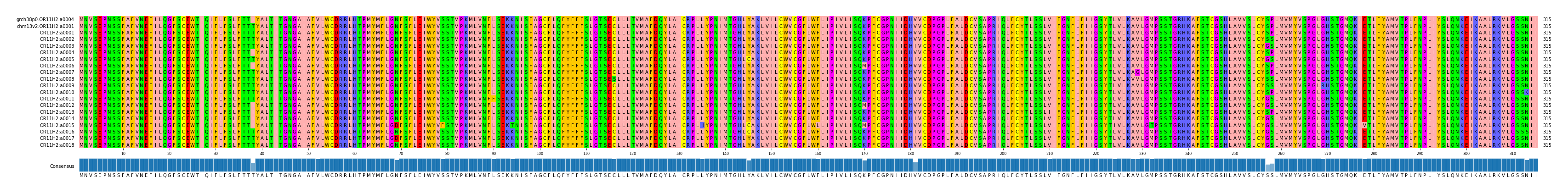 Multiple Alignments (by translate haplotype frequency)