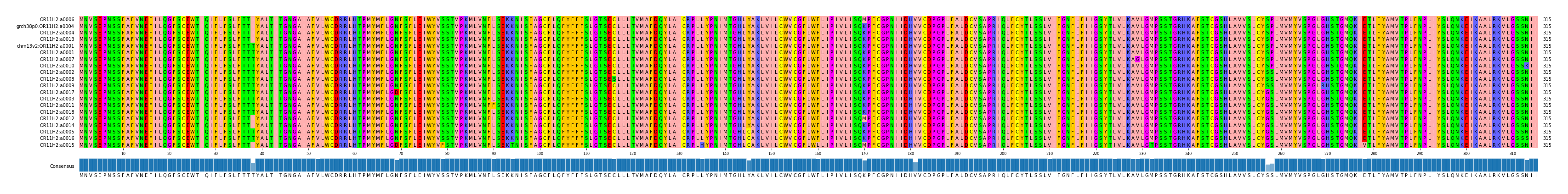 Multiple Alignments (by translate haplotype similarity)