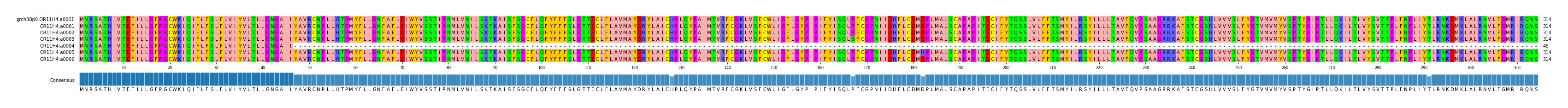 Multiple Alignments (by translate haplotype frequency)