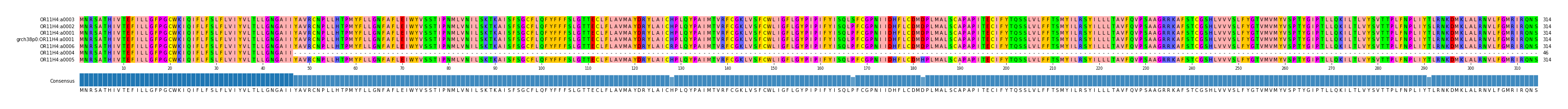 Multiple Alignments (by translate haplotype similarity)