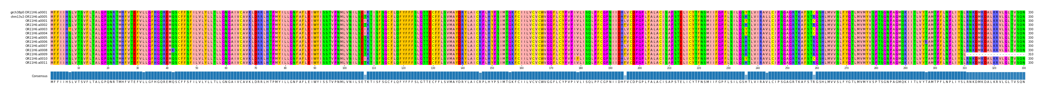 Multiple Alignments (by translate haplotype frequency)