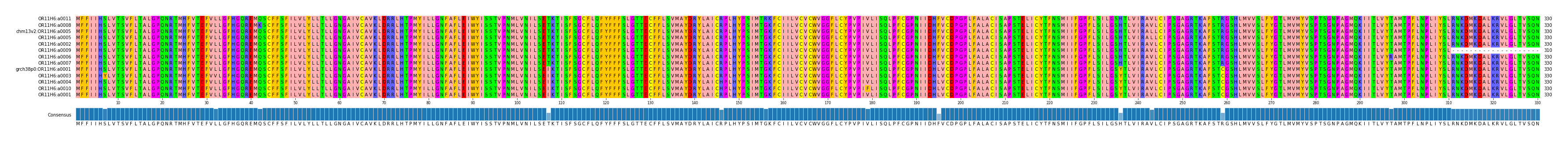 Multiple Alignments (by translate haplotype similarity)