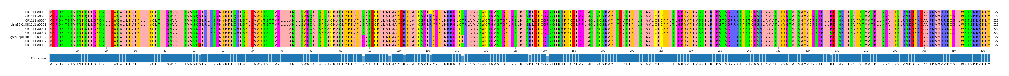 Multiple Alignments (by translate haplotype similarity)