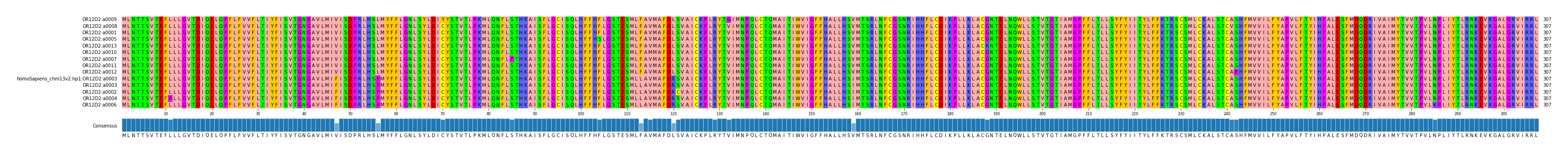 Multiple Alignments (by translate haplotype similarity)