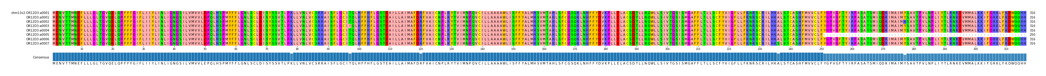 Multiple Alignments (by translate haplotype frequency)