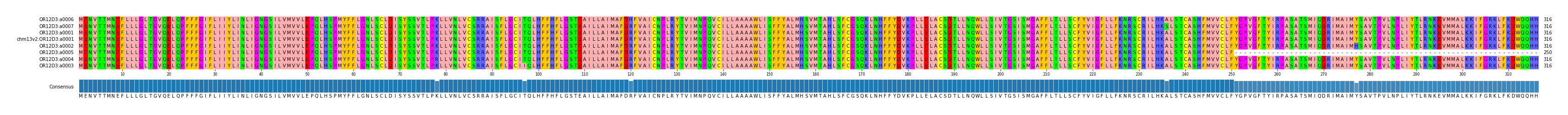 Multiple Alignments (by translate haplotype similarity)
