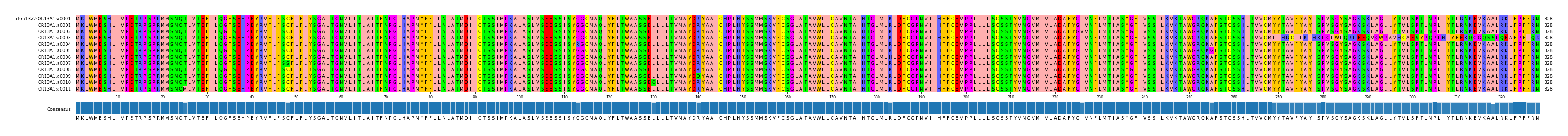 Multiple Alignments (by translate haplotype frequency)