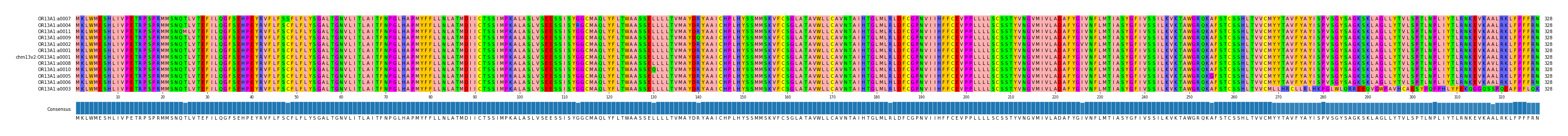 Multiple Alignments (by translate haplotype similarity)