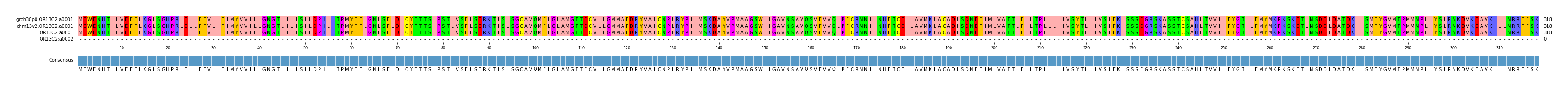 Multiple Alignments (by translate haplotype similarity)