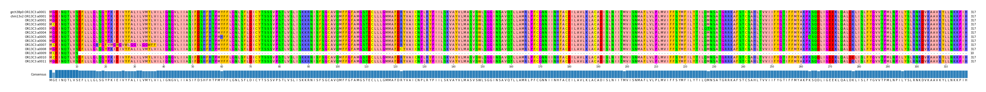 Multiple Alignments (by translate haplotype frequency)
