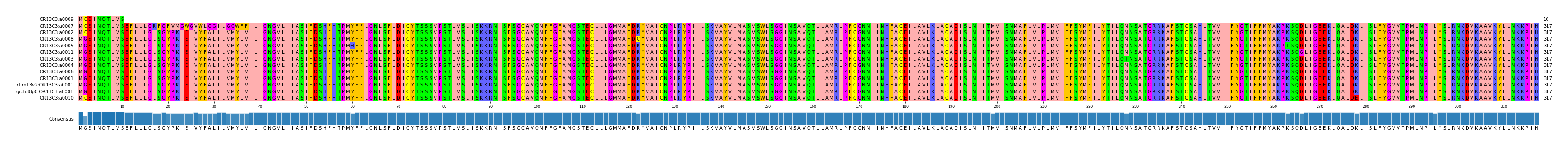 Multiple Alignments (by translate haplotype similarity)