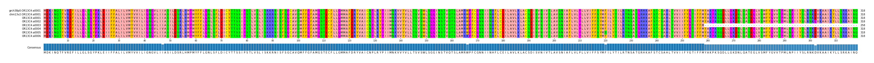 Multiple Alignments (by translate haplotype frequency)