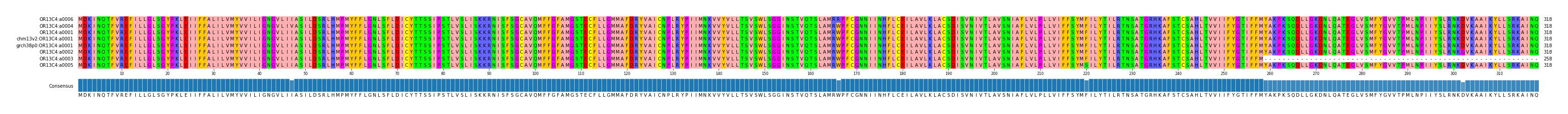 Multiple Alignments (by translate haplotype similarity)