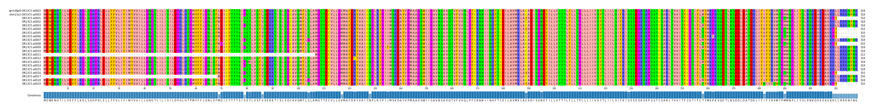 Multiple Alignments (by translate haplotype frequency)