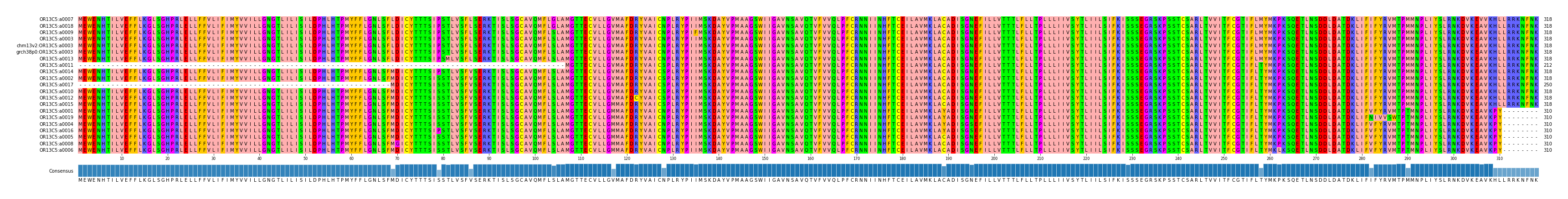 Multiple Alignments (by translate haplotype similarity)