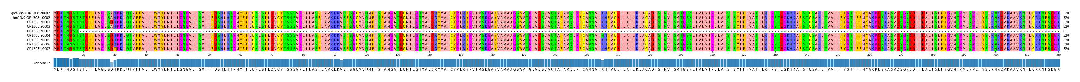 Multiple Alignments (by translate haplotype frequency)