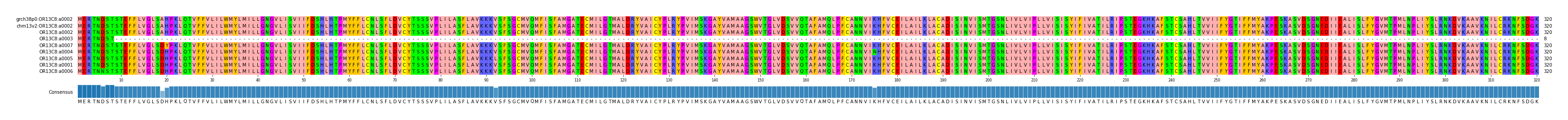 Multiple Alignments (by translate haplotype similarity)