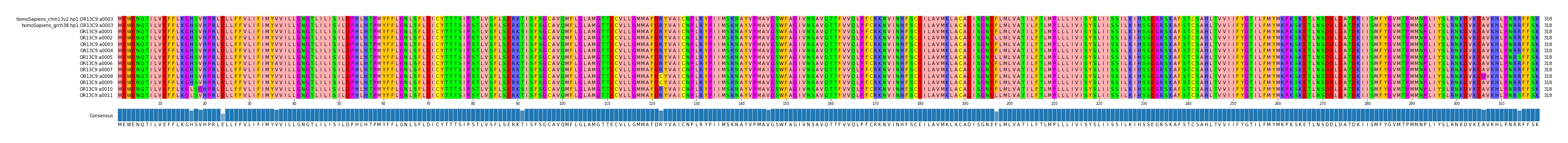 Multiple Alignments (by translate haplotype frequency)