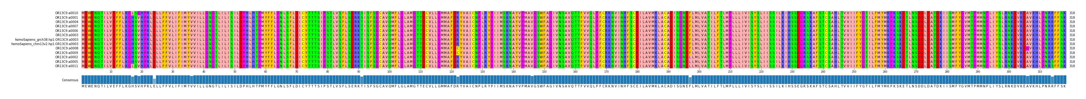 Multiple Alignments (by translate haplotype similarity)