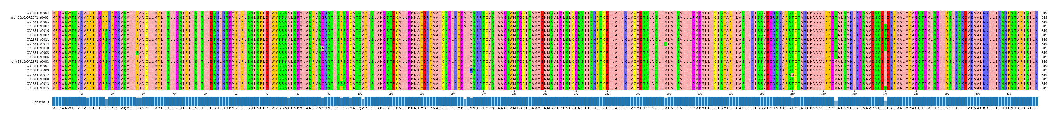 Multiple Alignments (by translate haplotype similarity)