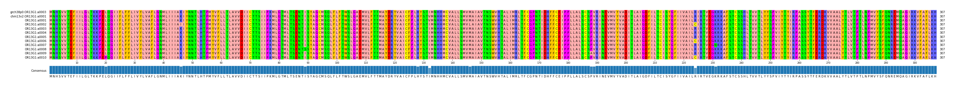 Multiple Alignments (by translate haplotype frequency)