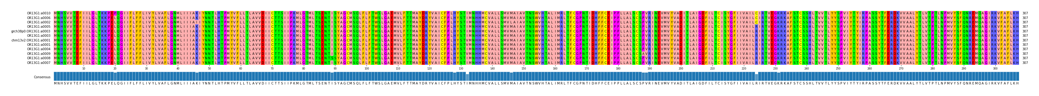 Multiple Alignments (by translate haplotype similarity)