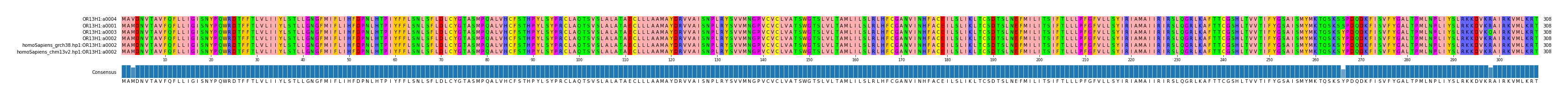 Multiple Alignments (by translate haplotype similarity)