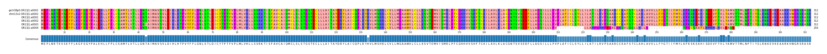 Multiple Alignments (by translate haplotype frequency)