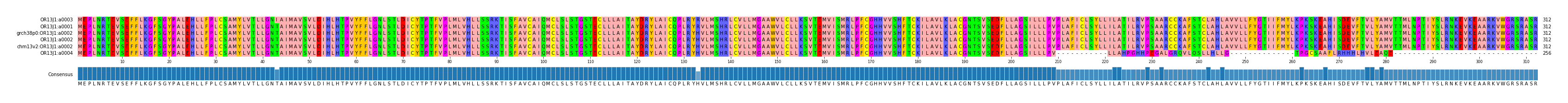 Multiple Alignments (by translate haplotype similarity)