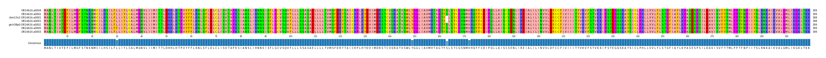 Multiple Alignments (by translate haplotype similarity)