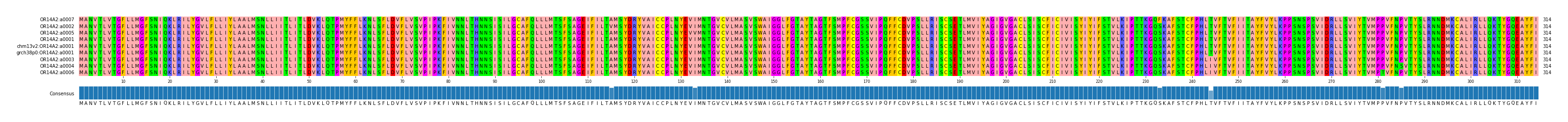 Multiple Alignments (by translate haplotype similarity)